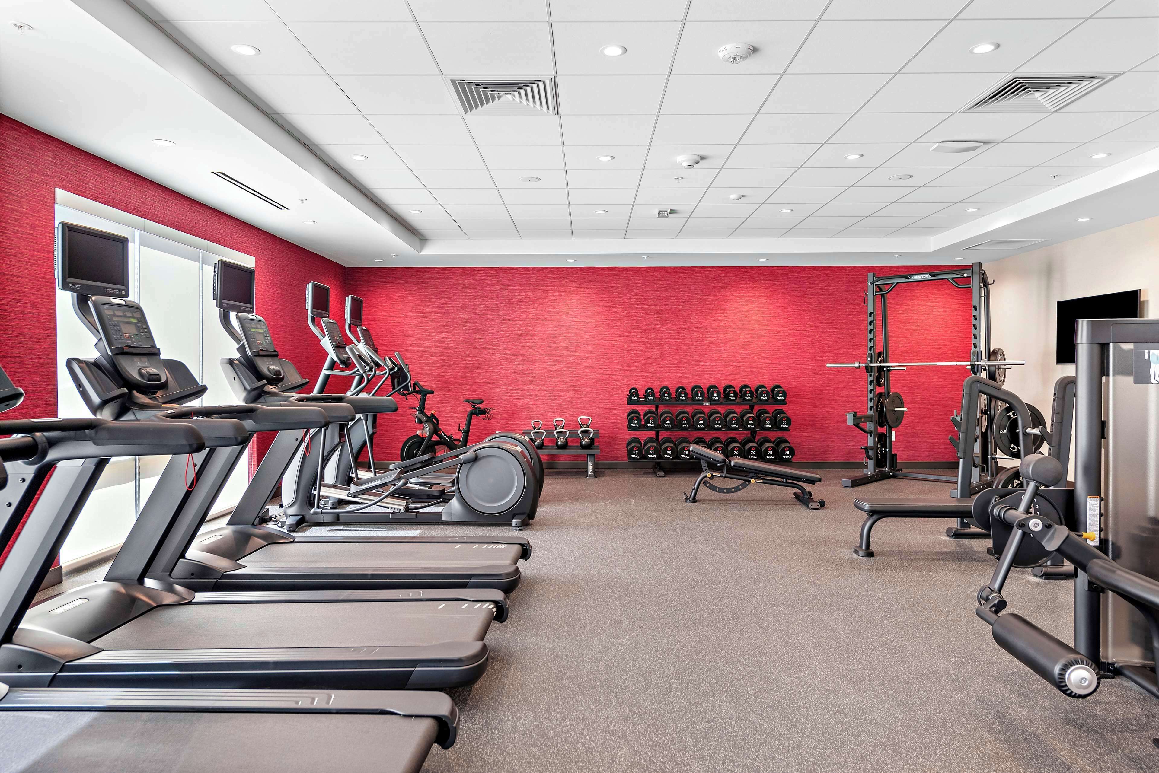 A gym with treadmills, stationary bikes, and weightlifting equipment.