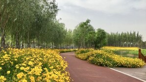 A pathway lined with yellow flowers and trees. - Longfengxiang Hotel (Dongying)
