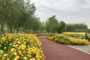 Un sendero bordeado de flores amarillas y árboles.