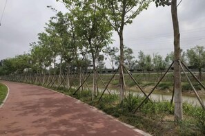 Un chemin pavé longe un plan d’eau, bordé de jeunes arbres et d’une clôture.