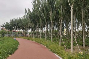 A pathway flanked by trees and greenery, leading to a playground area. - Longfengxiang Hotel (Dongying)