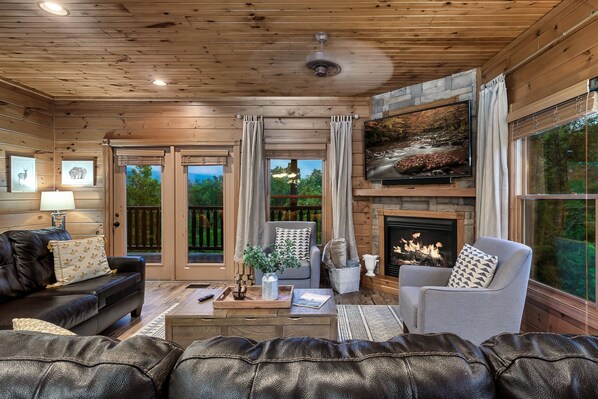 Smart TV, fireplace, DVD player, video library