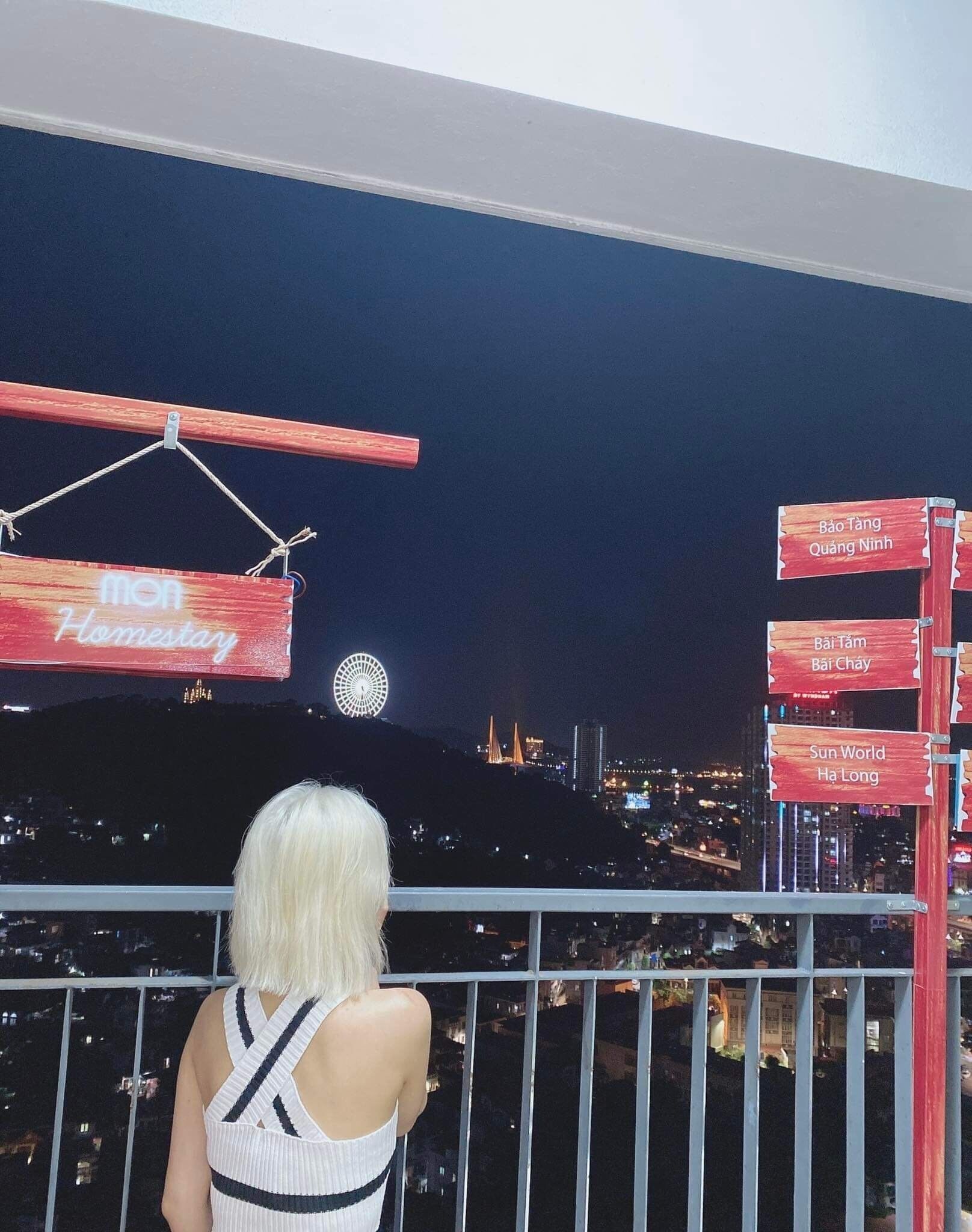 Una persona contempla un paisaje urbano nocturno con puntos de referencia iluminados y una noria.