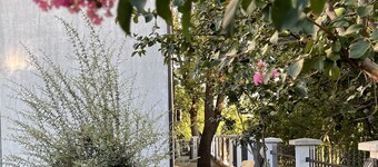 3 Bedroom Apartment with pool