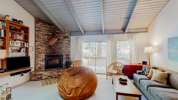 Télévision, cheminée, lecteur de DVD, livres