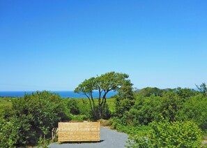 Unclassified image, 2 of 13, button