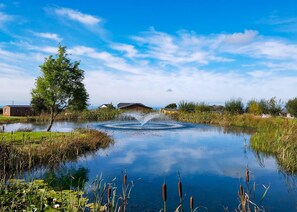 المنطقة المحيطة بالمنشأة