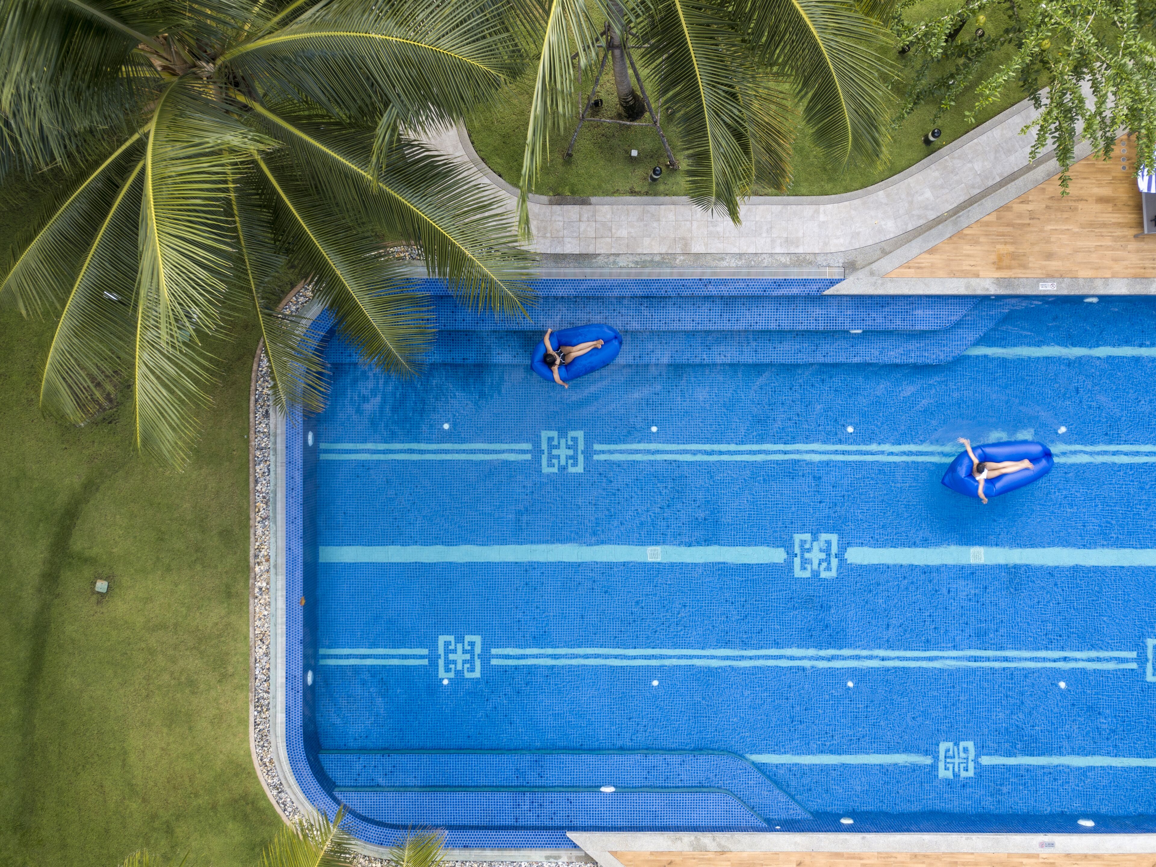 An aerial view of a swimming pool with two inflatable rings, surrounded by palm trees and a grassy area.