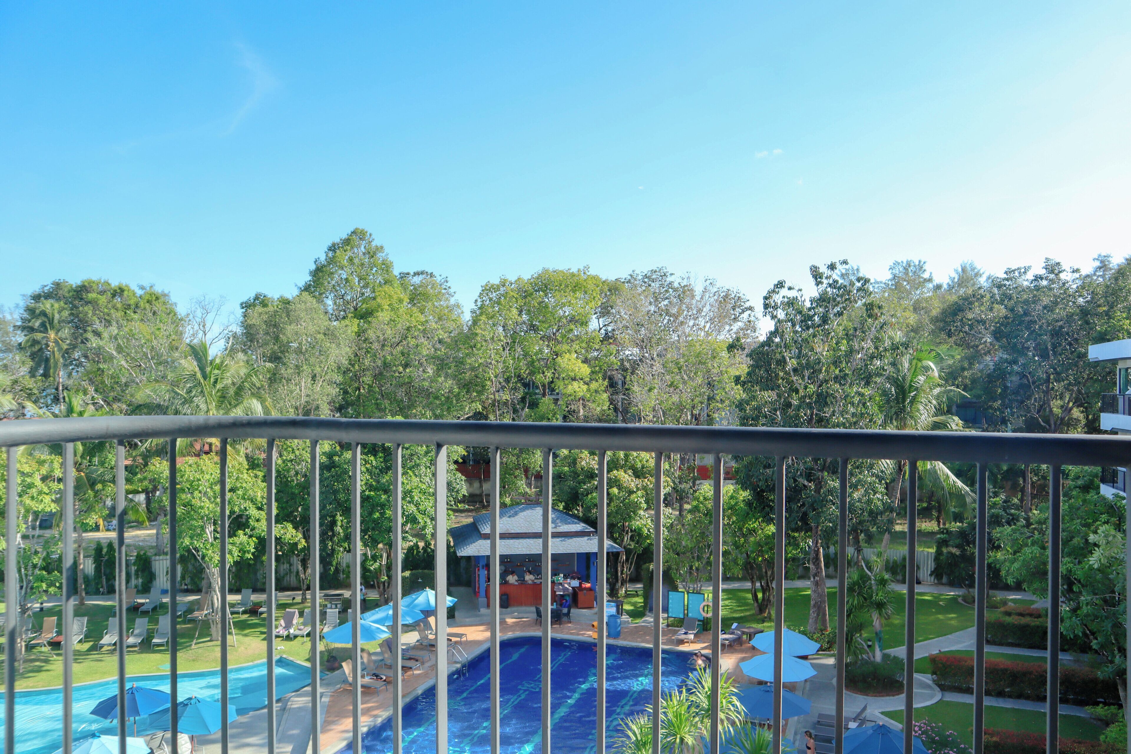 Zona de piscina con sillas de descanso y sombrillas, rodeada de árboles y un bar.