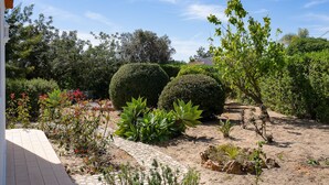 Un jardín con diversas plantas y un camino pavimentado.