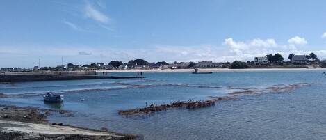 Sun loungers