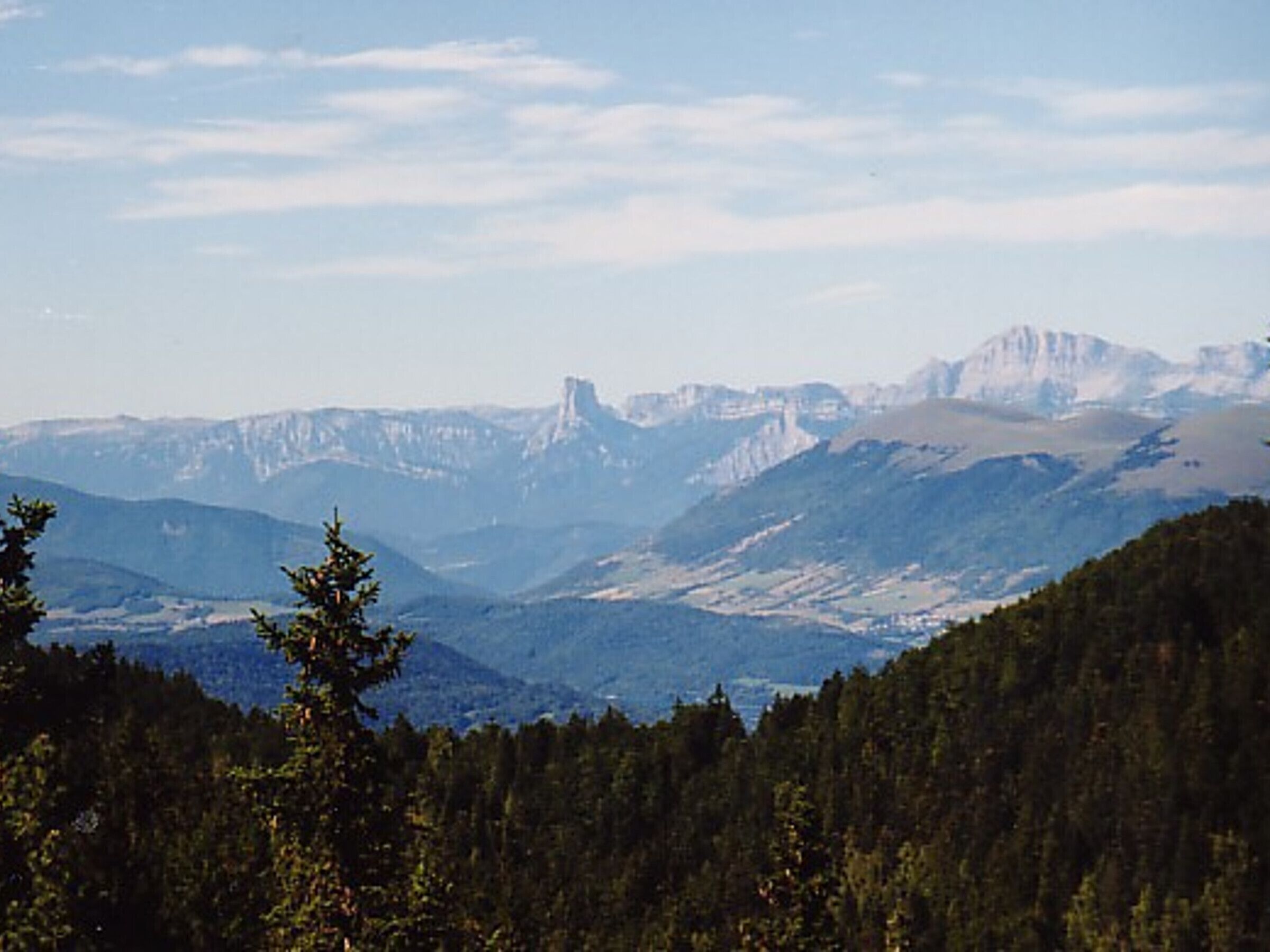 Paisatge muntanyós amb un bosc dens al primer pla i cims nevats al fons.