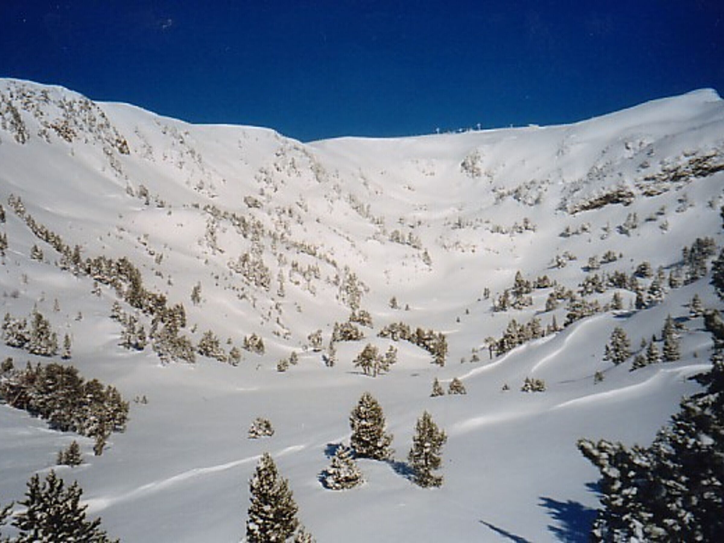 A snow-covered mountain landscape with trees.