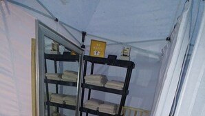 Ein Zimmer mit einem Spiegelkleiderschrank, einem Regal mit gefalteten Handtüchern, einem gemusterten Teppich und einer weißen Mülltonne.