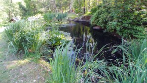 Ein friedlicher Teich, umgeben von üppigem Grün und Bäumen.