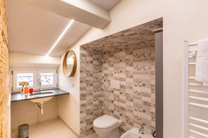 Shower, hair dryer, bidet, towels