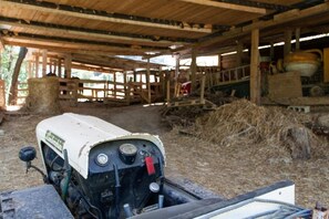 Niet-geclassificeerde afbeelding, 5 van 35, knop