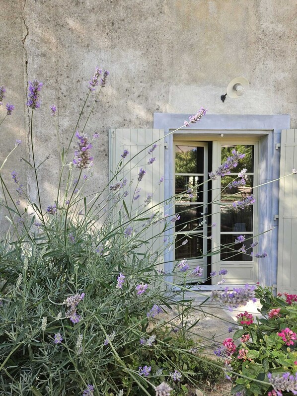 Détail de l’extérieur