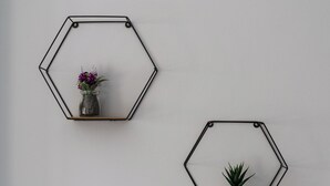Dos estantes hexagonales montados en la pared con plantas.