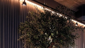 A modern living room with a large tree, a sofa, a chair, and a coffee table. - Zleep Hotel Madrid Airport (Madrid)