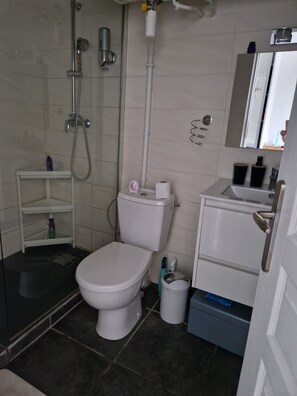 Shower, hair dryer, soap, toilet paper