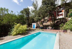 Ein Swimmingpool mit blauer Innenauskleidung, umgeben von einem Garten mit verschiedenen Pflanzen und Bäumen.