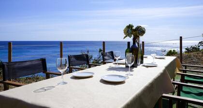 Completely private villa for rent 5 bedrooms with / Shima Mie