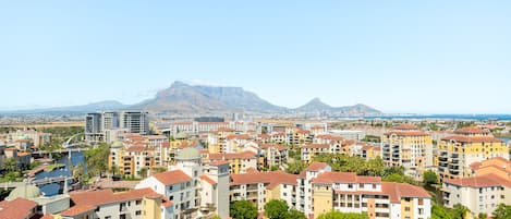A residential area with apartment buildings, a river, and a mountain in the background.