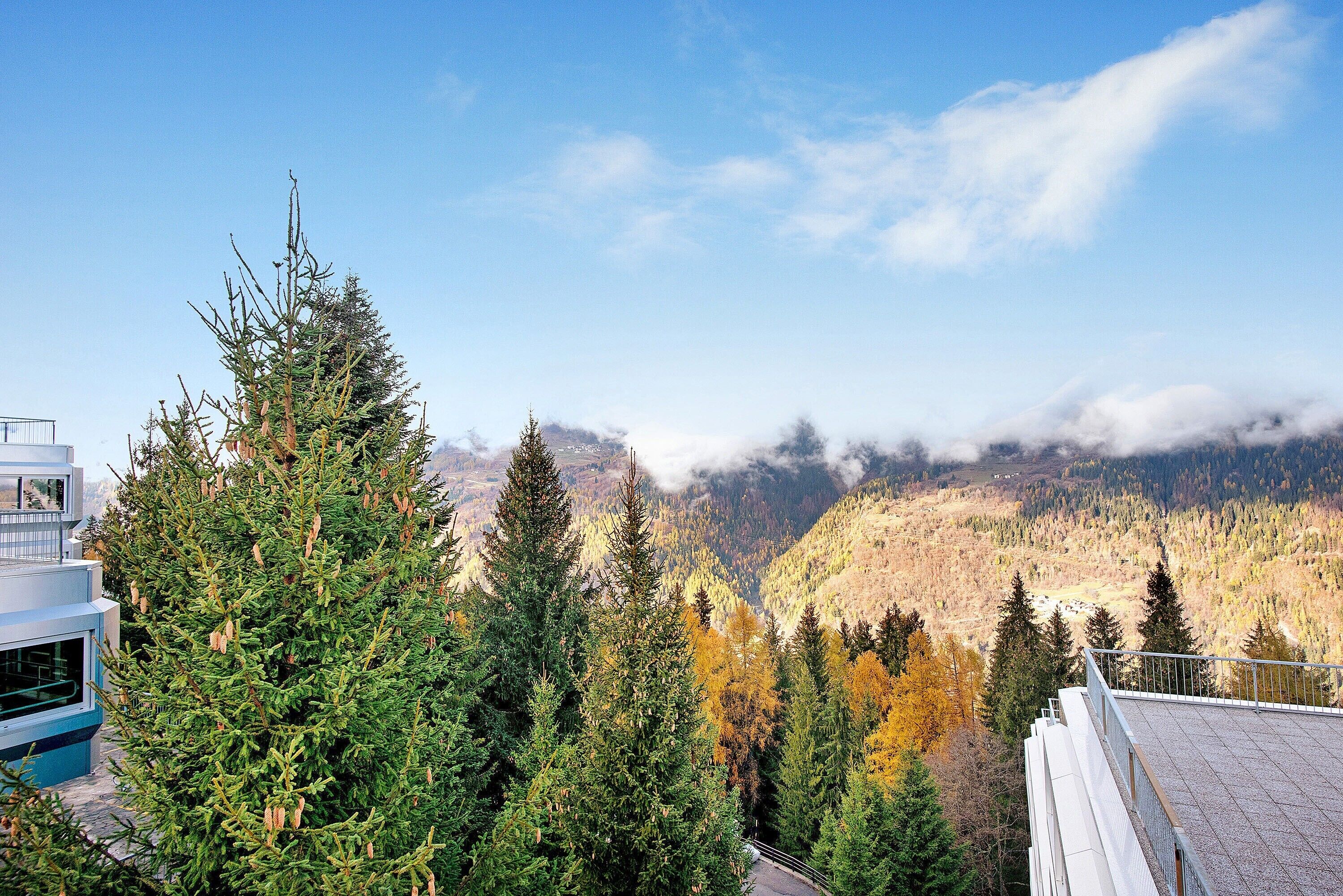 Eine Berglandschaft mit immergrünen Bäumen und herbstlichem Laub.