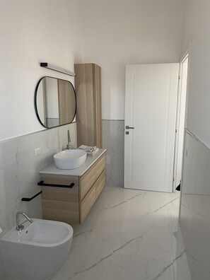 Shower, hair dryer, bidet, towels