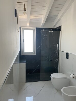 Shower, hair dryer, bidet, towels
