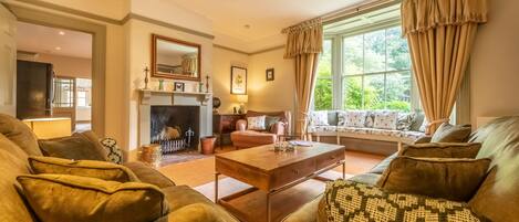 Fernseher, Kamin, Netflix, Bücher