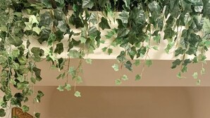 A hallway with an arched ceiling, wooden flooring, and hanging green plants.