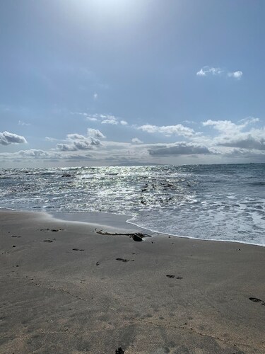 New tatami mats in the living room and bedroom / Tateyama Chiba