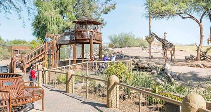 Sunswept Skies- Spring Training 2026 dates open!