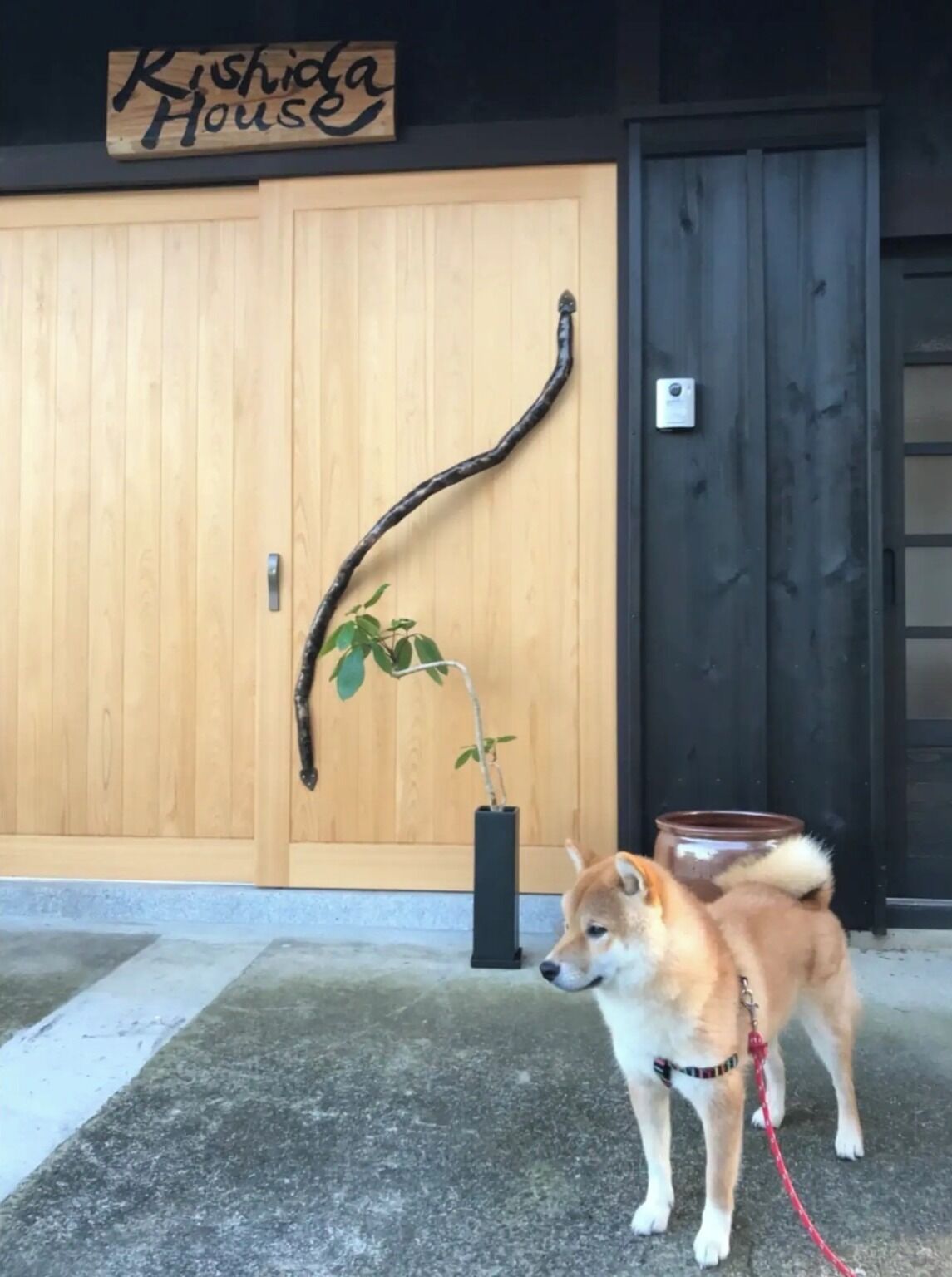 外観の詳細