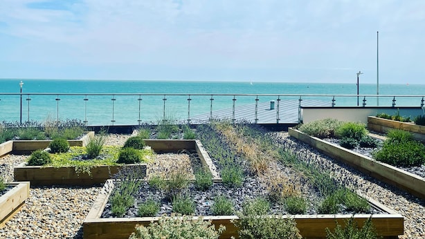 A rooftop garden with raised planters and a view of the sea. - Beautiful Apartment on Ramsgate Sea-front (Ramsgate)