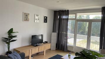 Fernseher