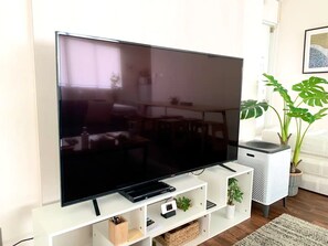 Fernseher, DVD-Player