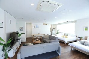 电视、DVD 播放器