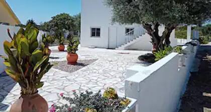Remarkable 3-bed House in Tomar, Portugal