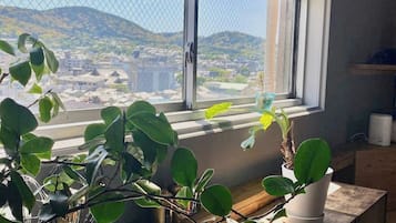 Fridge, microwave, stovetop, cookware/dishes/utensils