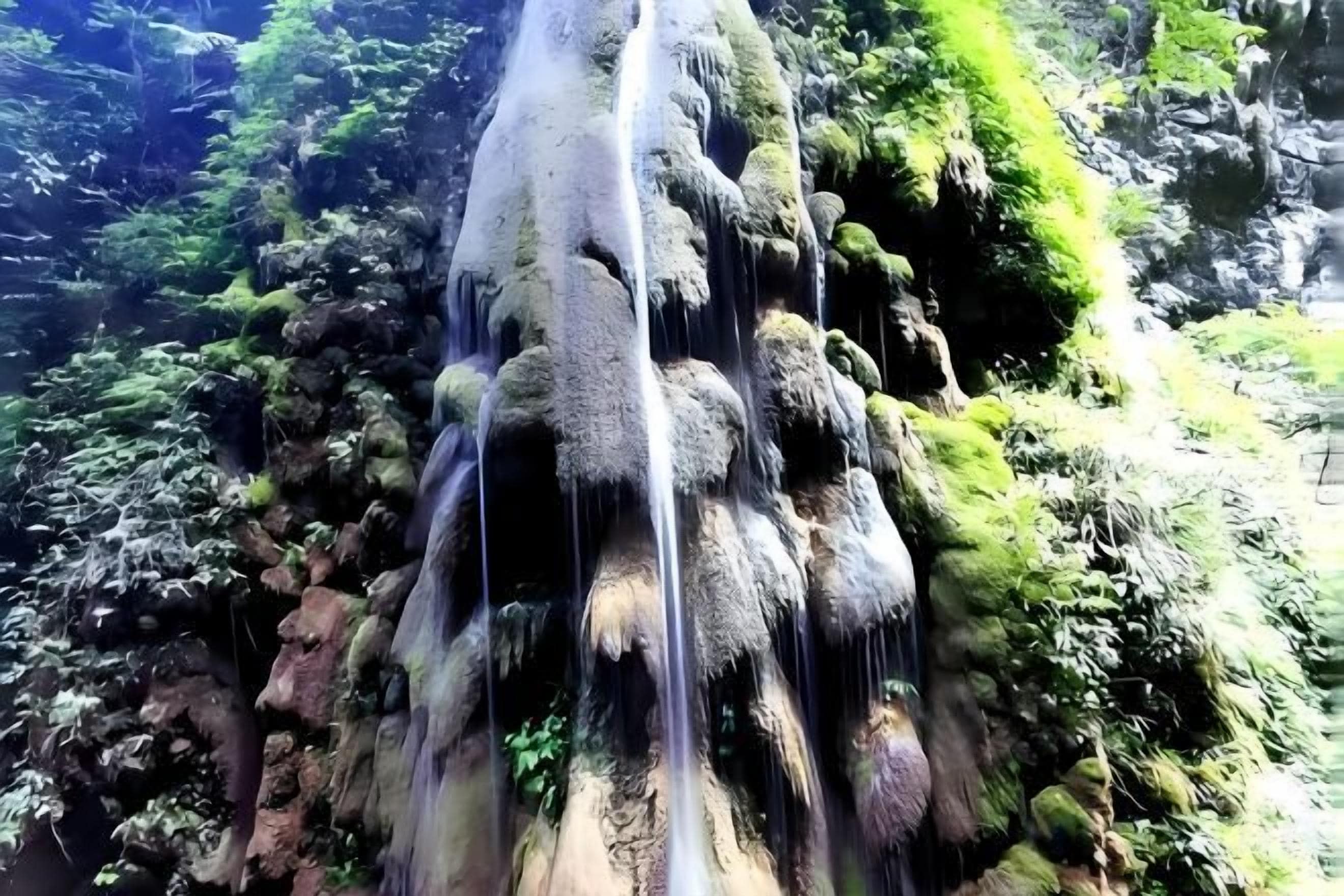 Een waterval stort neer over met mos begroeide rotsen, omringd door weelderige vegetatie.