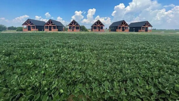 A row of identical cabins with a large field in the foreground.