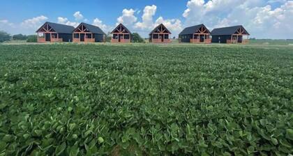 Farmview Villa on Bourbon Trail with HOT TUB-4