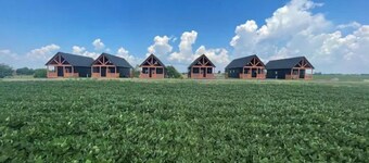 Farmview Villa on Bourbon Trail with HOT TUB-4