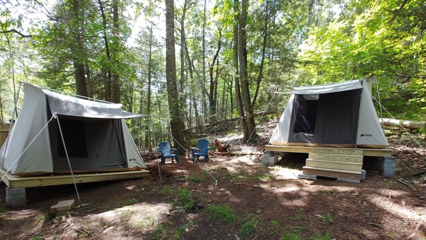 Deux tentes de camping sont installées dans une forêt, avec des chaises et une plateforme en bois à proximité.