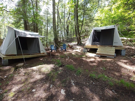 Property grounds. Rare, peaceful glamping, hot shower, mini golf near appalachian trail