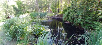 Rare, peaceful glamping, hot shower, mini golf near appalachian trail
