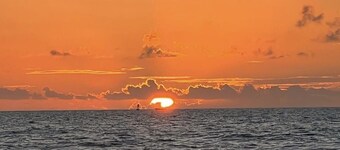 Adorable Beachside Retreat @ Peacock Beach (pet friendly!)